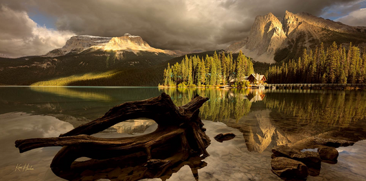 See Love Dancing in the Light