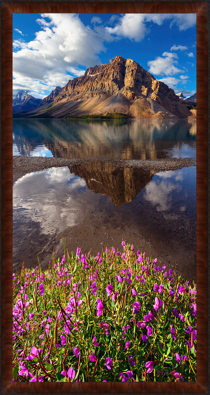 Things are Lookin' Up