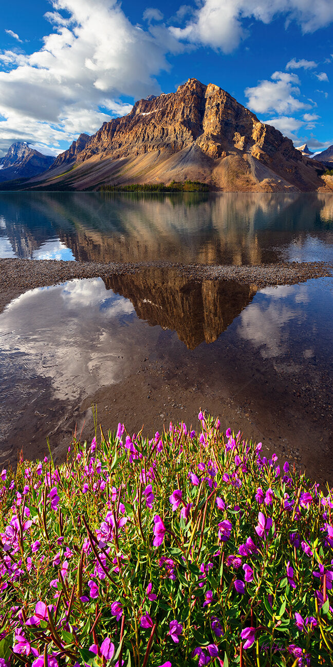 Things are Lookin' Up