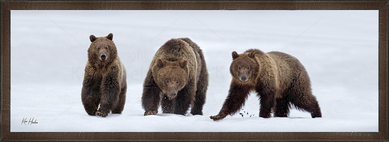 When Momma Came Down that Mountain